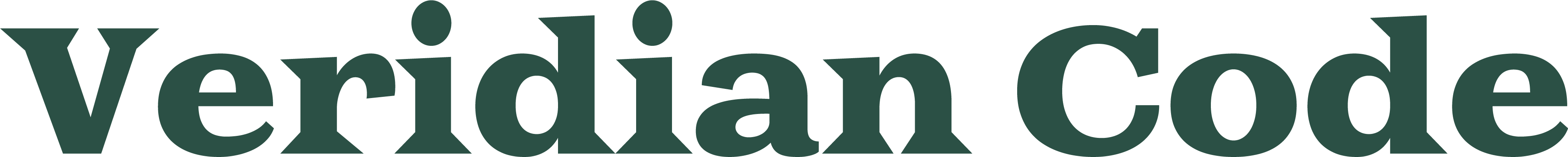 VERIDIAN CODE 로고